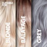 Provoke 200ml Go Ashy Cool Silver Effect Shampoo